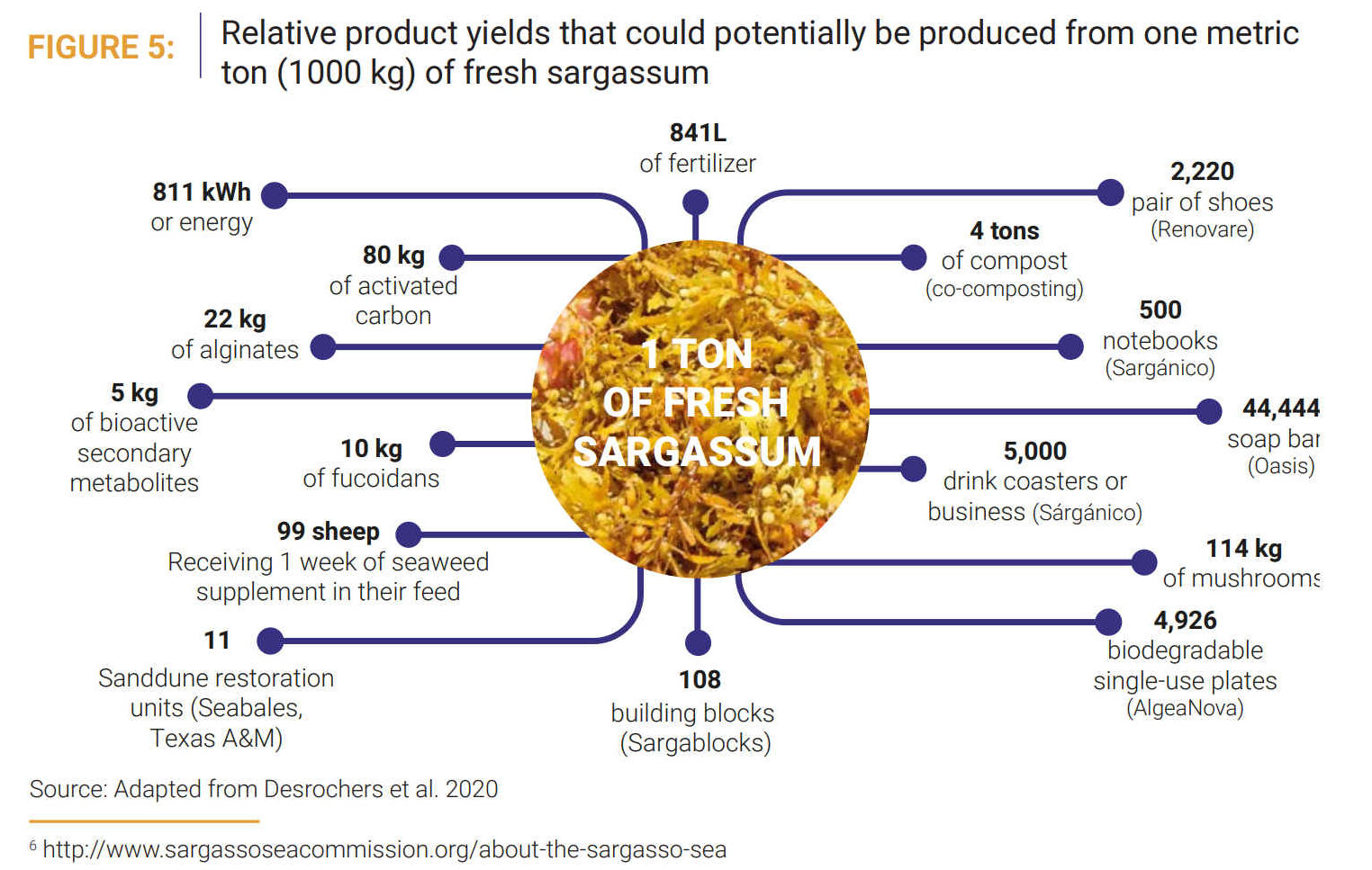 Infographic showing the yield from one ton of sargassum